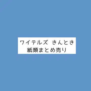 와이즈 킨토키 묶음 판매 1