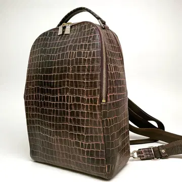 컨디션 최상 아니아리 악어 엠보싱 2층식 백팩 비즈니스 3way