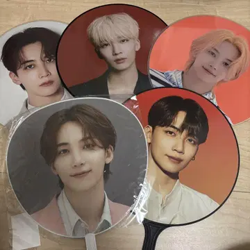 SEVENTEEN 세븐틴 세부치 정한 부채 모음