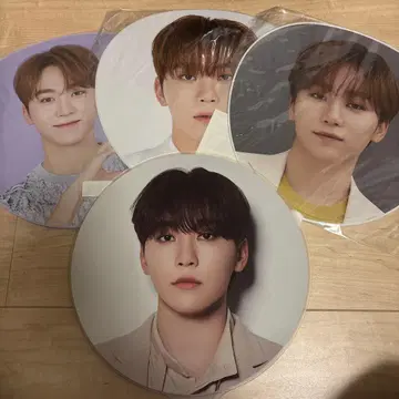 SEVENTEEN 세부치 승관 부채 모음
