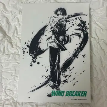 WINDBREAKER 윈브레 소방준비 캔버스 아트