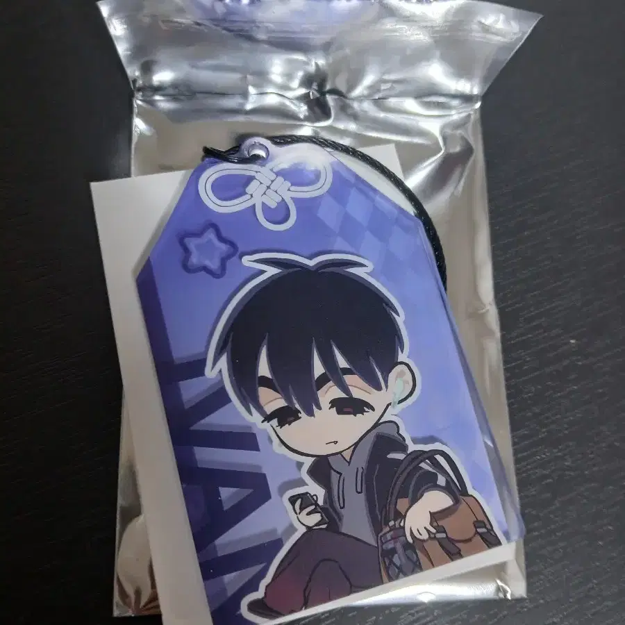 에이스테 오마모리 키링 이반