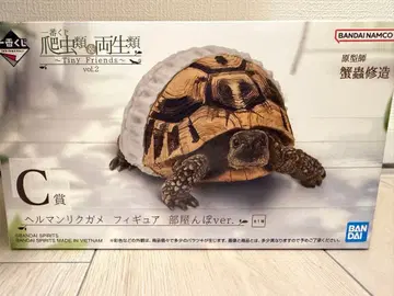 헬만리쿠거북 피규어 방구석 산책 ver.