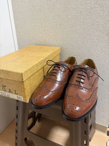 REGAL 풀 브로그 브라운 24EE