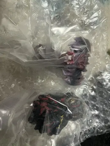 제일복권 고질라 괴수난무 E상 몬스터 헤드 마그넷 2종