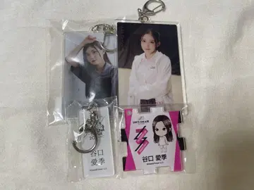 타니구치 아이리 아크릴 키링 세트
