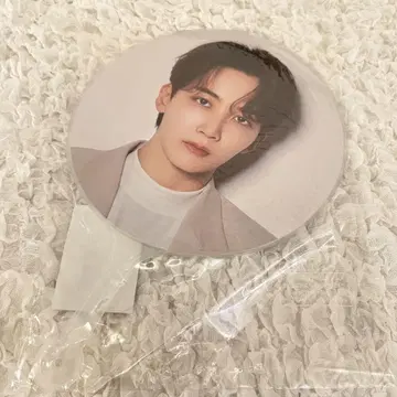 SEVENTEEN 세븐틴 부채 정한