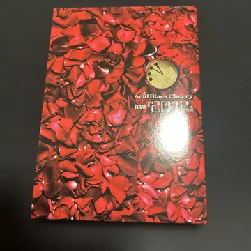 Acid Black Cherry Tour 2012 DVD 라이브 영상