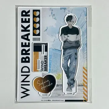 WIND BREAKER 윈브레 벚꽃 하루카 Glasses 아크릴 스탠드