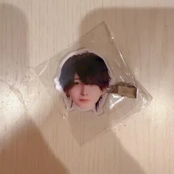 세이브 포인트 카나메 헤어 클립