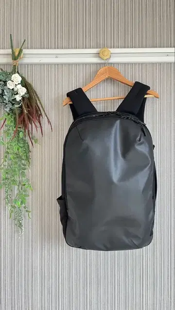 WEXLEY ACTIVE PACK 웨레이 액티브 팩