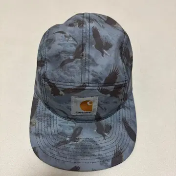 Carhartt STARTER 캡