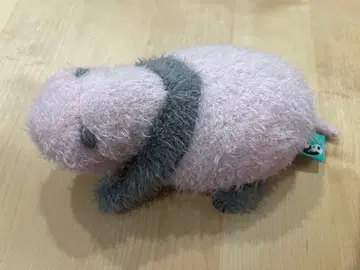진짜 크기 팬더 새끼 아카아카