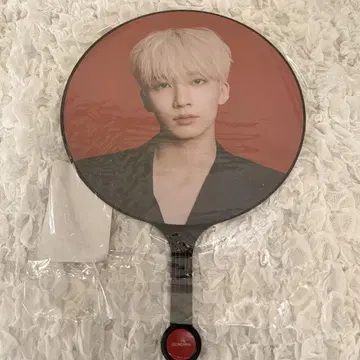 SEVENTEEN 세븐틴 부채 정한 power of love