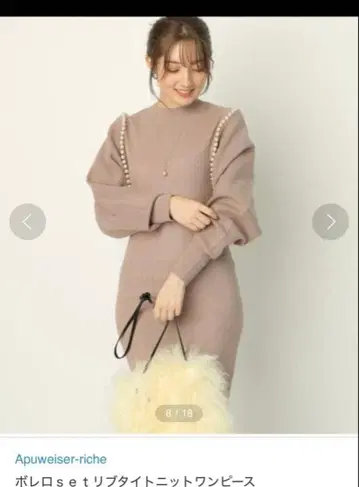 아푸와이저 리셰의 셋업