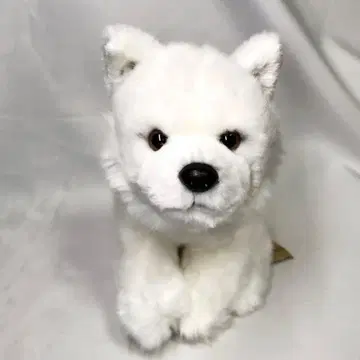레가로 홋카이도견 봉제 인형