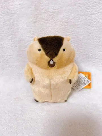 하마모토 마모트의 못토토 절규 기믹 봉제 인형 Marmot mottoto