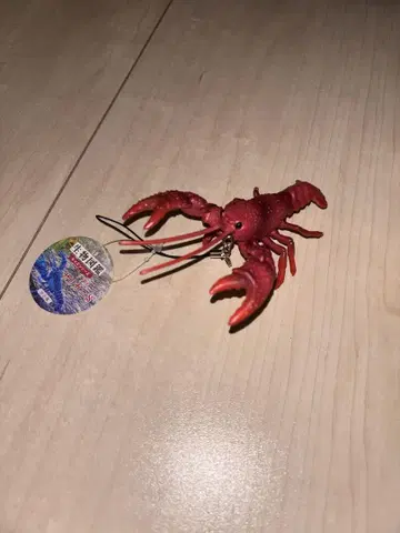 랍스터 피규어 스트랩 포함 약 6cm