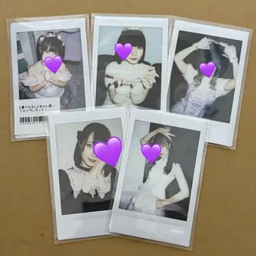 큐르시테 타마야네 폴라로이드 세트 큐르링테시테 란체키