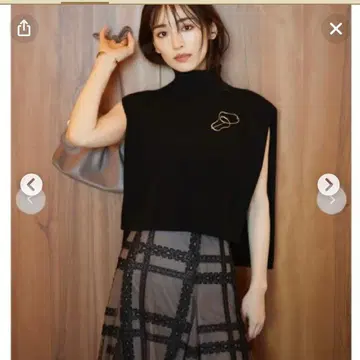 스나이델 니트 베스트