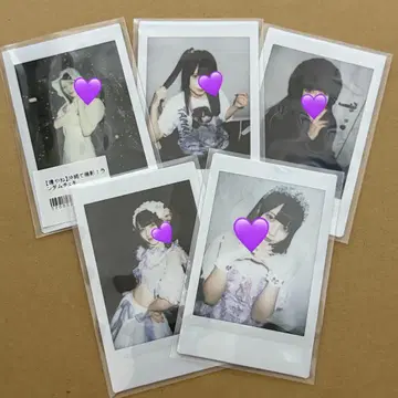 큐르시테 타마야네 폴라로이드 세트 N 프로 큐르링떼시떼 미떼 란체키