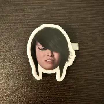 드래곤 게이트 얼굴 핑 호키