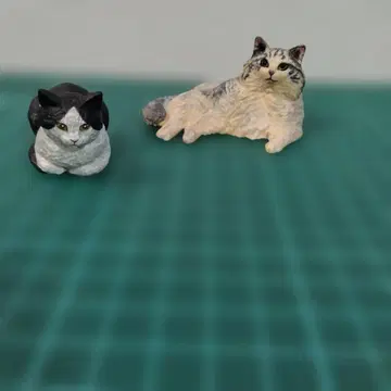 가챠가챠 하시모토 미오 고양이