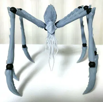 스큐라
