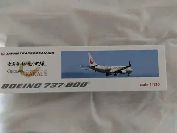 JTA 737-800 1/130 모형