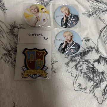 팬더드래곤 캔뱃지 요우타