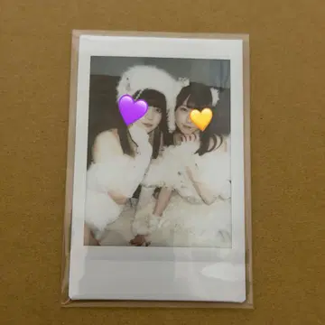 [ 초레어 ] 큐루링 해봐 시마무라 우타 타마키야네