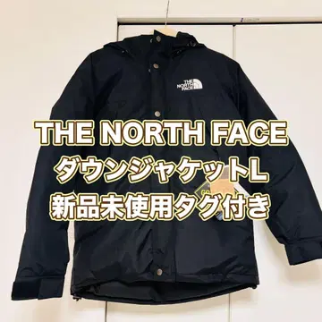 THE NORTH FACE 마운틴 다운 자켓 L 남성용