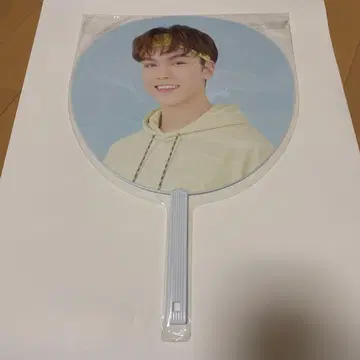 버논 부채