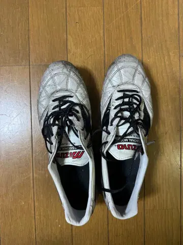 모렐리아 2 재팬 27.5