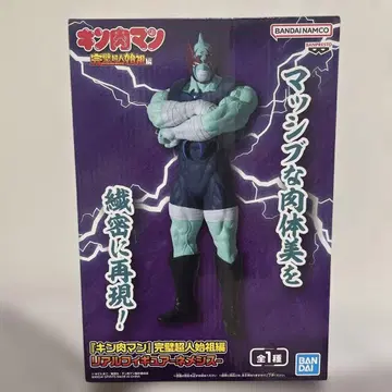 근육맨 피규어 약 25cm 반다이 네메시스