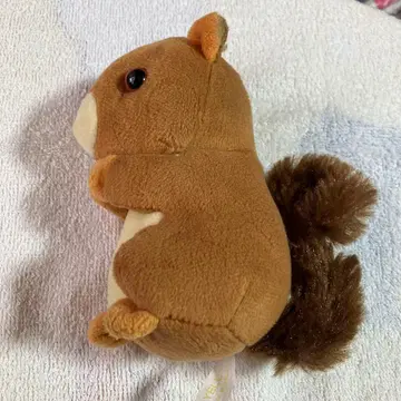 브라운 다람쥐 봉제 인형