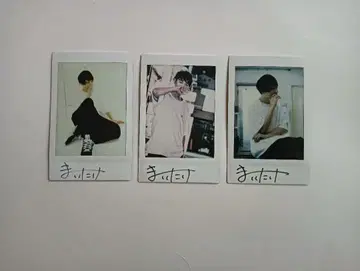 마이타케 니코캐스 폴라로이드