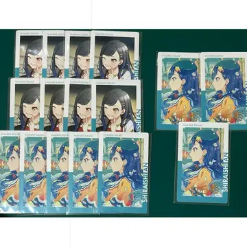 프로세카 시로이시 안 에피카 금박 묶음 판매