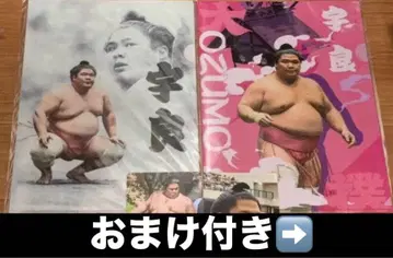 스모 우라 클리어 파일 2장 <새상품> & 덤 포함