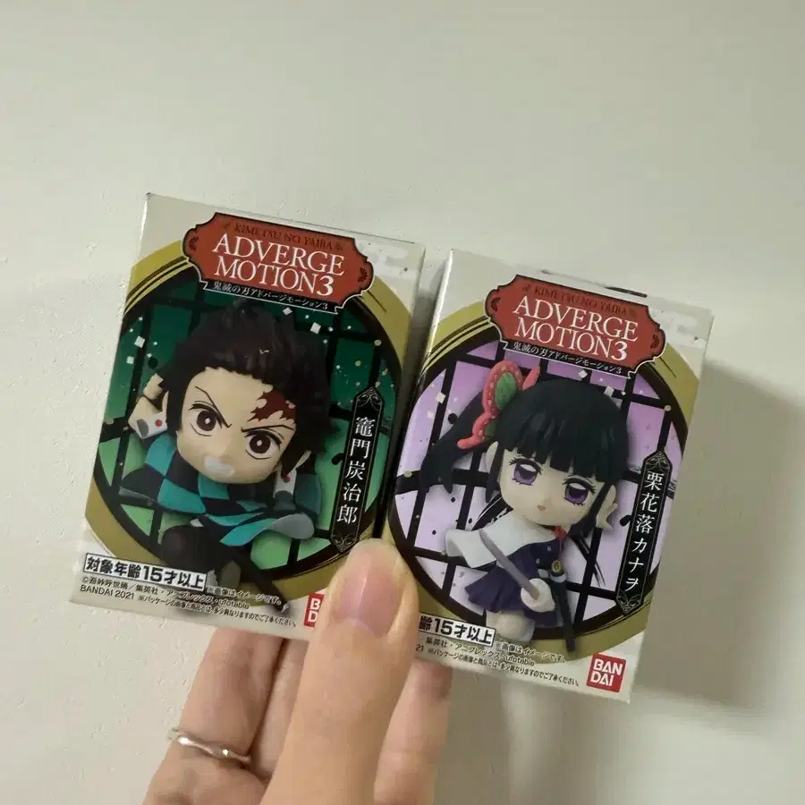 Demon Slayer Adverge 3 Tanjiro