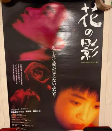 [ 초레어 ] 레슬리 찬 꽃의 그림자 포스터