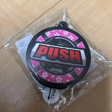 SANKYO 프리미엄 사운드 키링