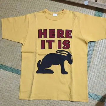 부트 레거스 프리휠러스 잭래빗