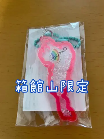 미사용 새상품 하코다테야마 한정판 비와코 아크릴 키링 비와코 인기 무지개