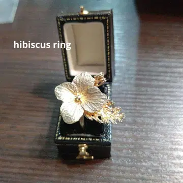하이비스커스 반지 매트 골드