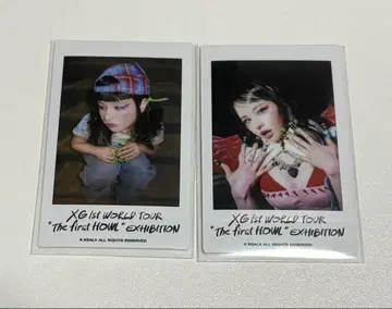 XG exhibition 폴라로이드 HARVEY