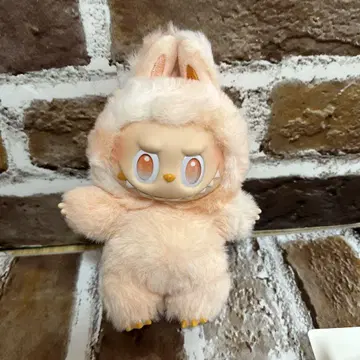 정품 러브브 오렌지