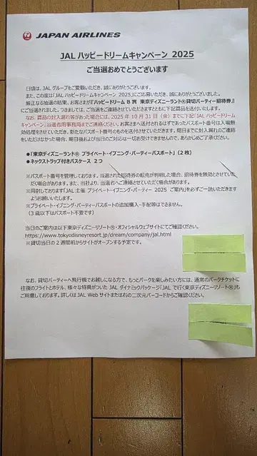 디즈니랜드 프라이빗 이브닝 파티 패스 케이스