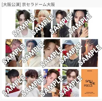세븐틴 라이히아 회장 특전 유니버셜