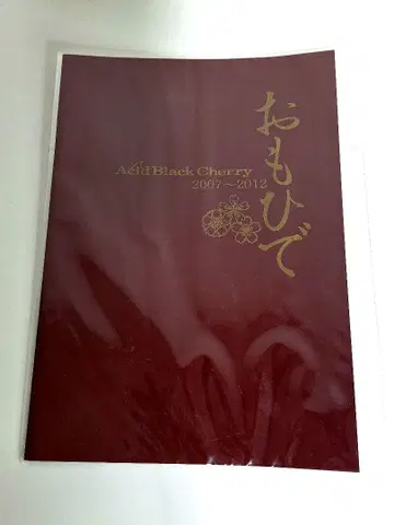 Acid Black Cherry 오모히데 2007~2012 ABC